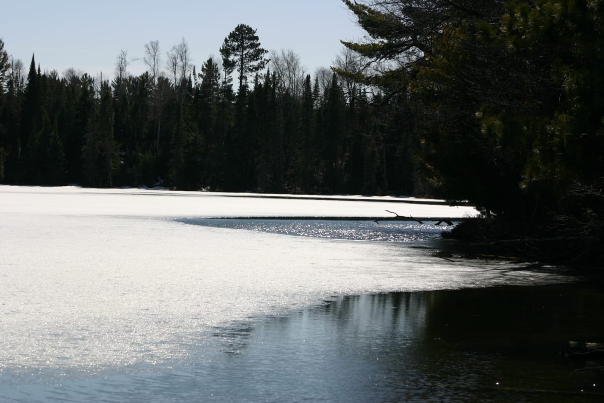 The ice is melting fast!