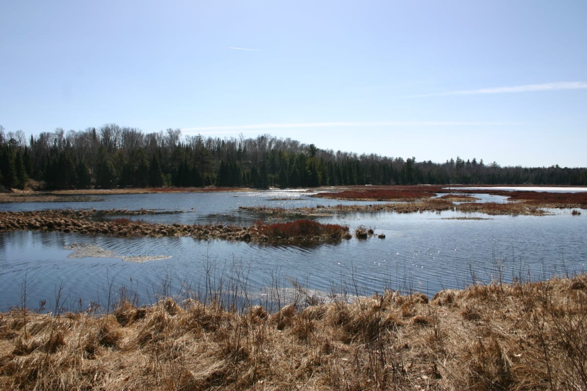 View of the flowage from Hwy K.