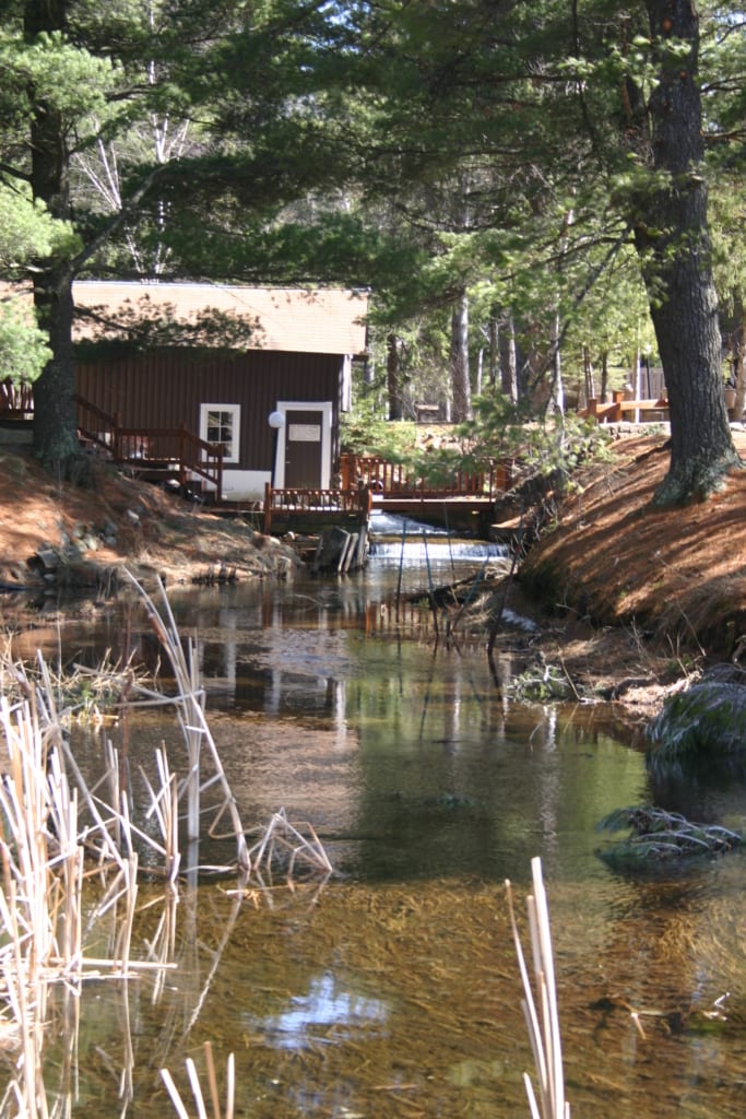 White Birch Creek is flowing well this spring.