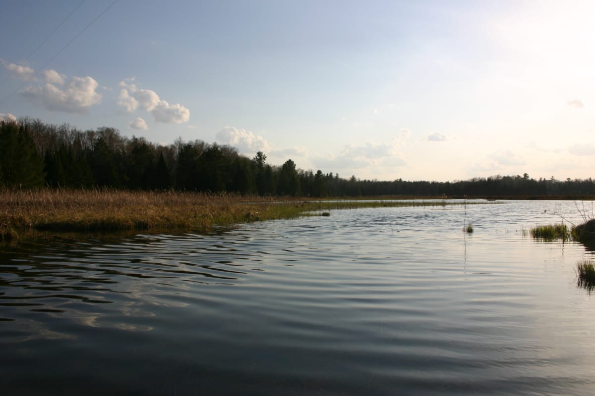 Water, wonderful water!