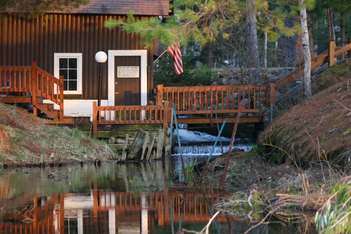 Great view of the Fish Hatchery. Look at all that water flowing!